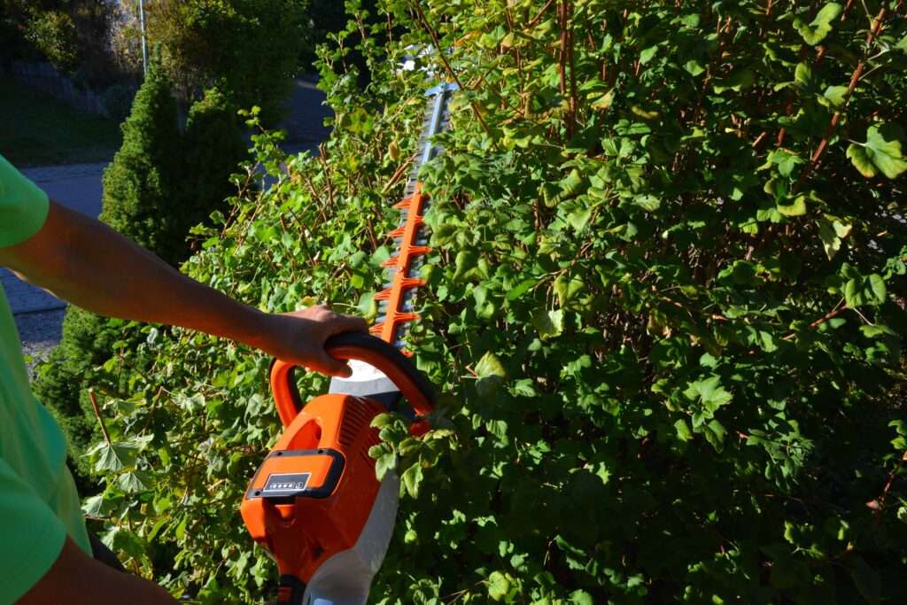 Service rund ums Haus Roman Scharfen